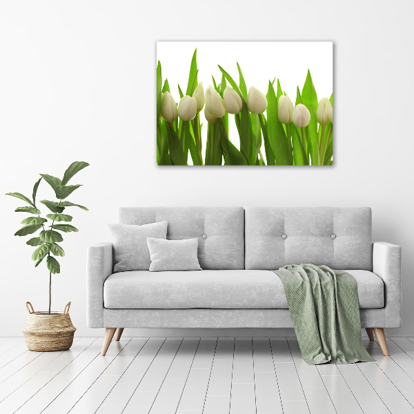 Wandbild Weiße Tulpen