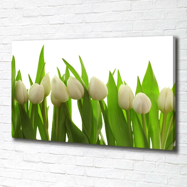 Wandbild Weiße Tulpen
