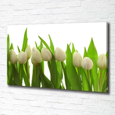 Wandbild Weiße Tulpen