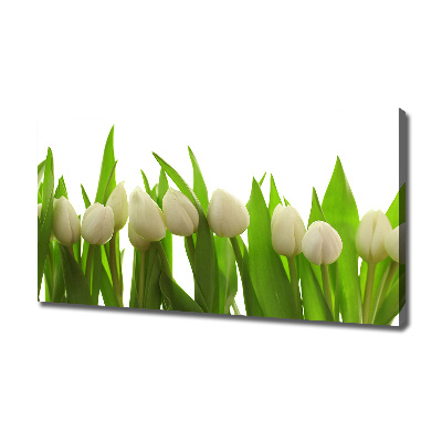 Wandbild Weiße Tulpen