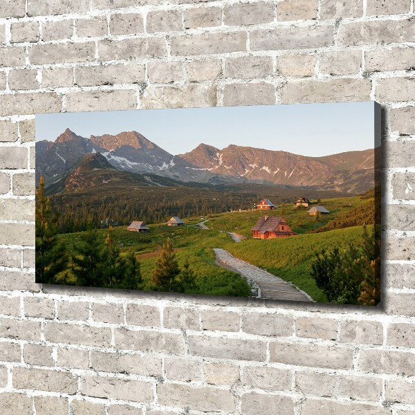 Bild auf leinwand Eine Lichtung in den Tatra-Bergen