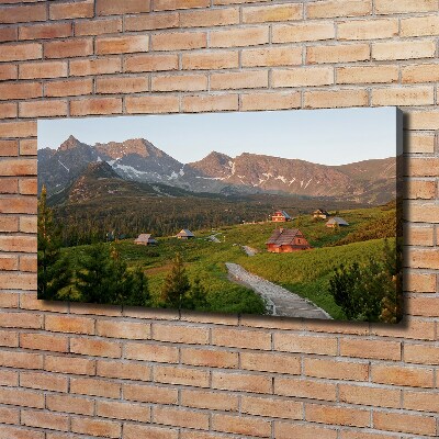 Bild auf leinwand Eine Lichtung in den Tatra-Bergen