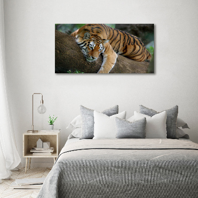 Wandbild Tiger auf einem Baum