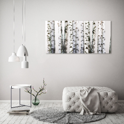 Fotobild Birkenstämme