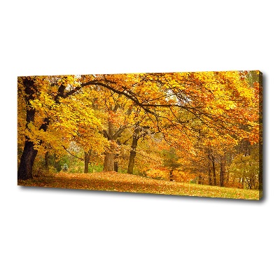 Bild auf leinwand Herbst im Park