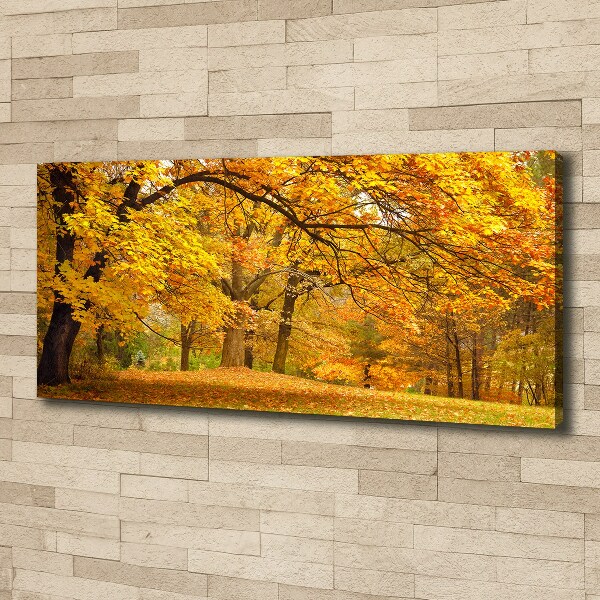 Bild auf leinwand Herbst im Park