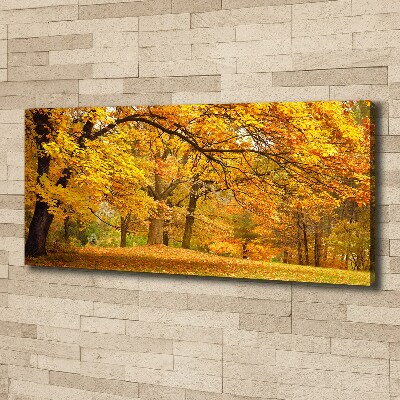 Bild auf leinwand Herbst im Park