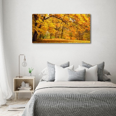 Bild auf leinwand Herbst im Park