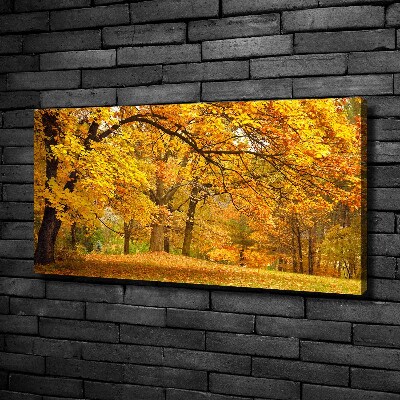 Bild auf leinwand Herbst im Park