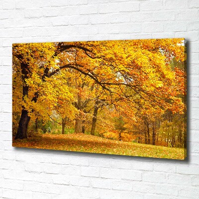 Bild auf leinwand Herbst im Park