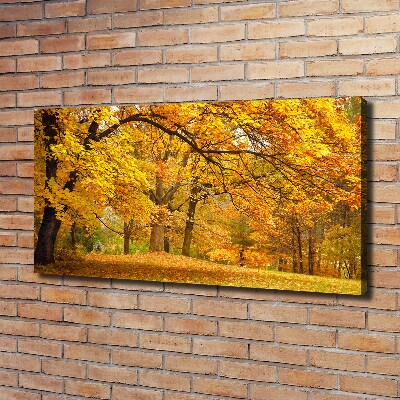 Bild auf leinwand Herbst im Park