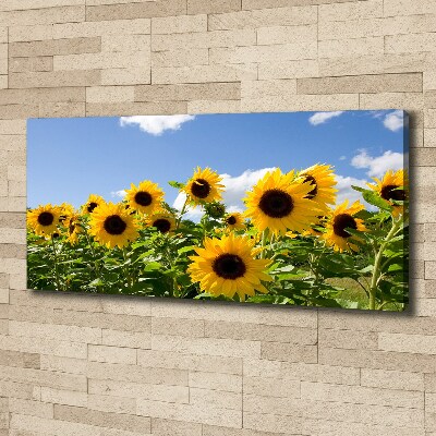 Bild auf leinwand Sonnenblumen