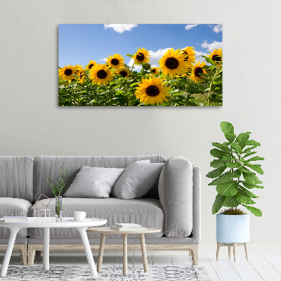 Bild auf leinwand Sonnenblumen