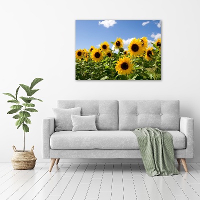 Bild auf leinwand Sonnenblumen