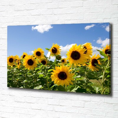 Bild auf leinwand Sonnenblumen