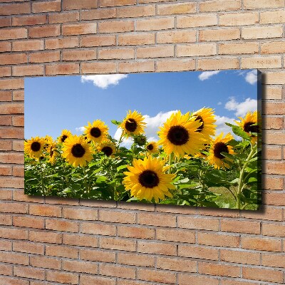 Bild auf leinwand Sonnenblumen