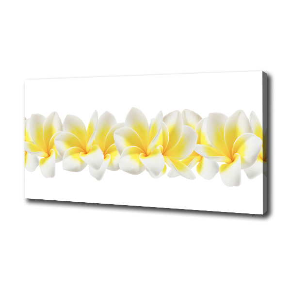 Wandbild Plumeria