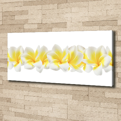 Wandbild Plumeria