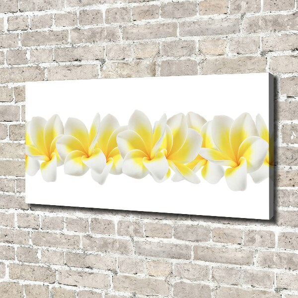 Wandbild Plumeria