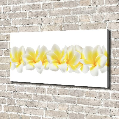 Wandbild Plumeria
