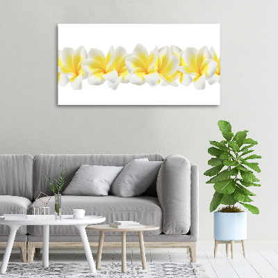 Wandbild Plumeria