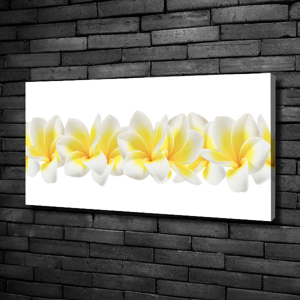 Wandbild Plumeria