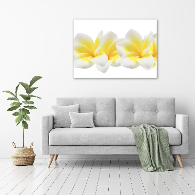 Wandbild Plumeria