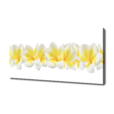 Wandbild Plumeria