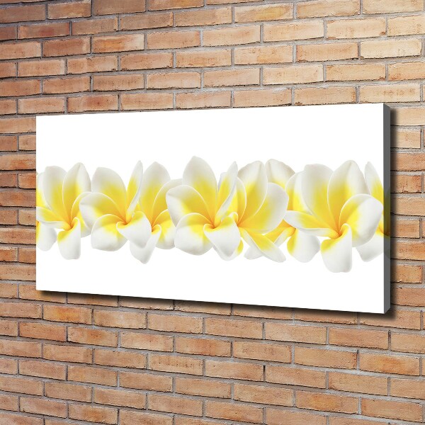 Wandbild Plumeria