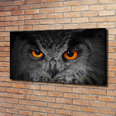 Fotobild Teuflische Eulenaugen