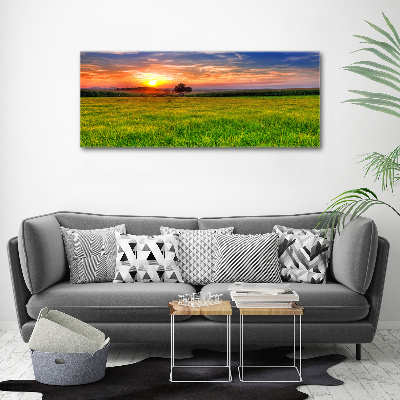 Wandbild Sonnenuntergangswiese