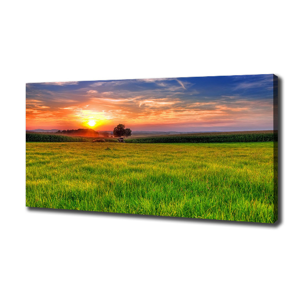 Wandbild Sonnenuntergangswiese