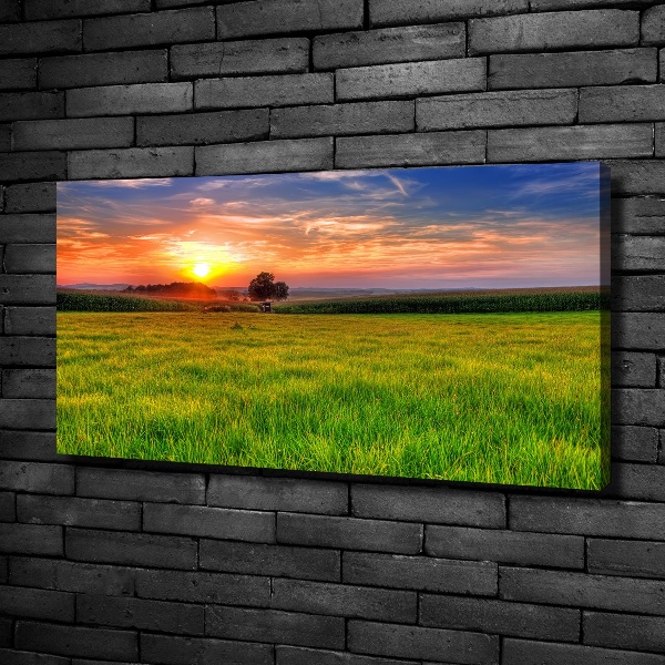 Wandbild Sonnenuntergangswiese