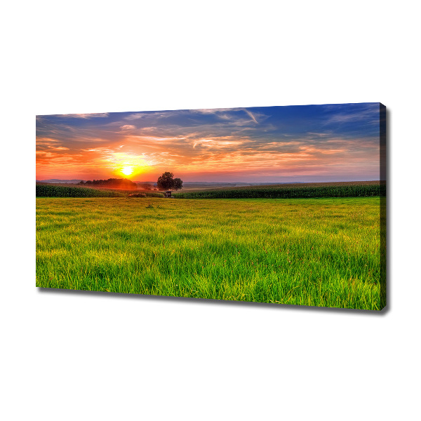 Wandbild Sonnenuntergangswiese