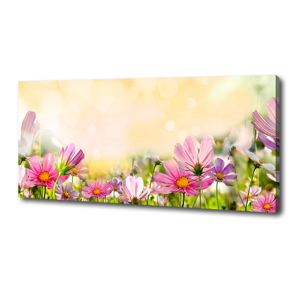 Wandbild Mohnblumen