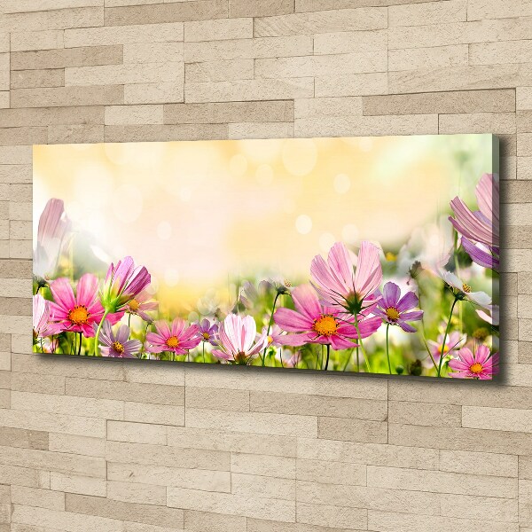 Wandbild Mohnblumen
