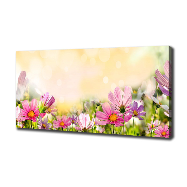 Wandbild Mohnblumen