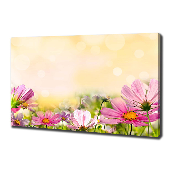 Wandbild Mohnblumen