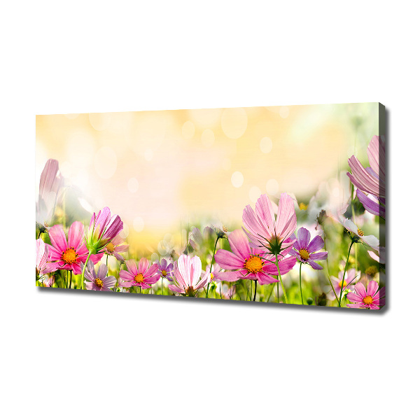 Wandbild Mohnblumen