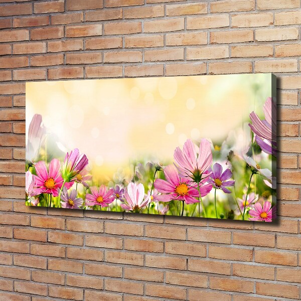Wandbild Mohnblumen