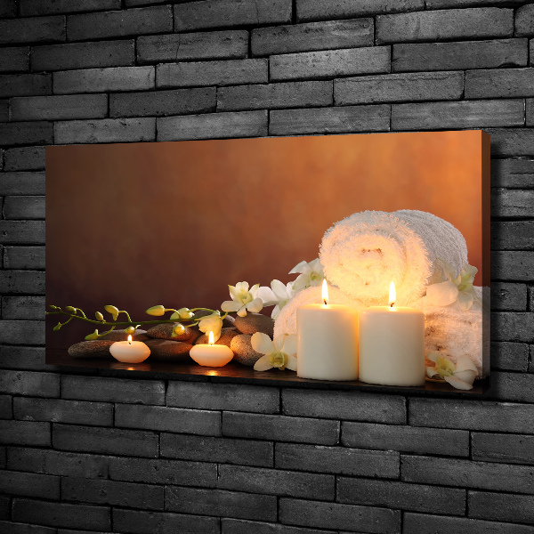 Bild auf leinwand Biologische Regeneration