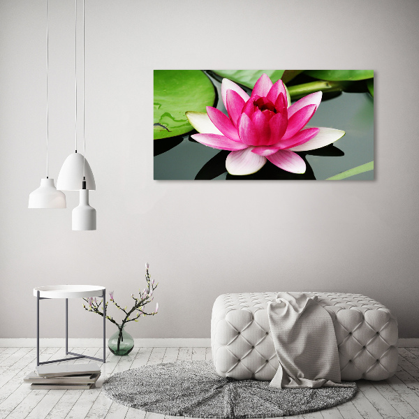 Bild auf leinwand Seerose