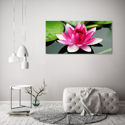 Bild auf leinwand Seerose
