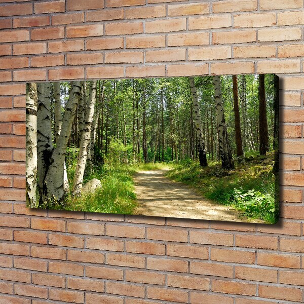 Wandbild Pfad im Wald