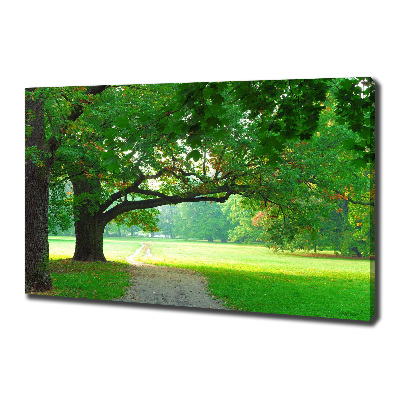 Wandbild Park im Herbst