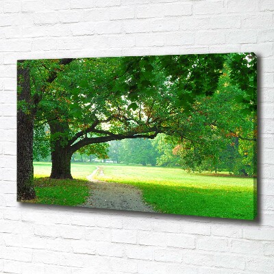 Wandbild Park im Herbst