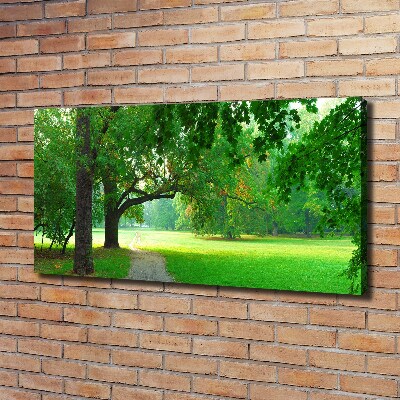 Wandbild Park im Herbst