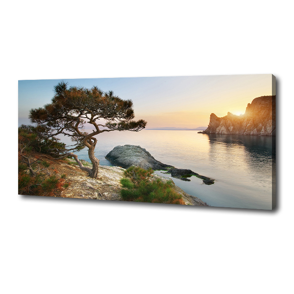 Fotobild Ein Baum am Meer