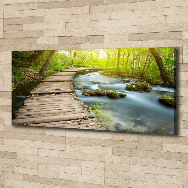 Bild auf leinwand Weg am Fluss