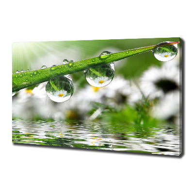 Wandbild Tropfen auf dem Gras